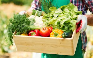 Mehr über den Artikel erfahren Gesunde Ernährung